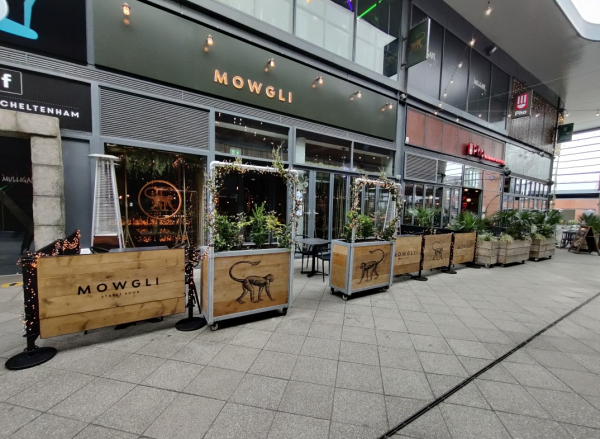 Mowgli Planters and Wooden Framed Panels