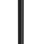 Traditional Sphere Rope Barrier Post in Black Finish, Traditional Rope & Posts, Rope Barrier, Post & Rope, Metal Stanchions, Black Rope Post