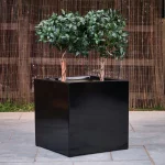 Commercial Fibreglass Planter - Black Cube with Trees