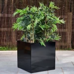 Commercial Fibreglass Planter - Black Cube with Plants